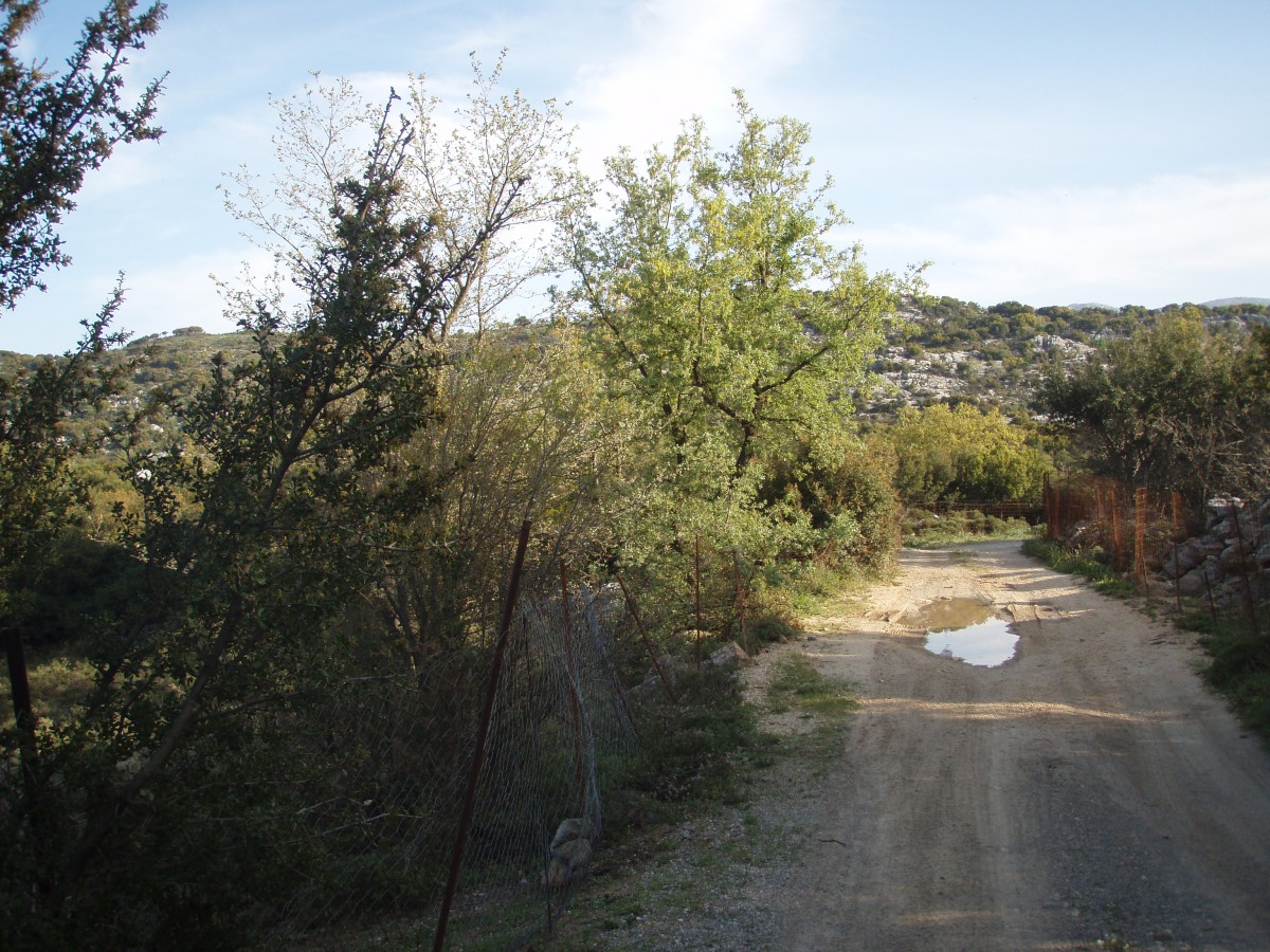 Κρητική ύπαιθρος